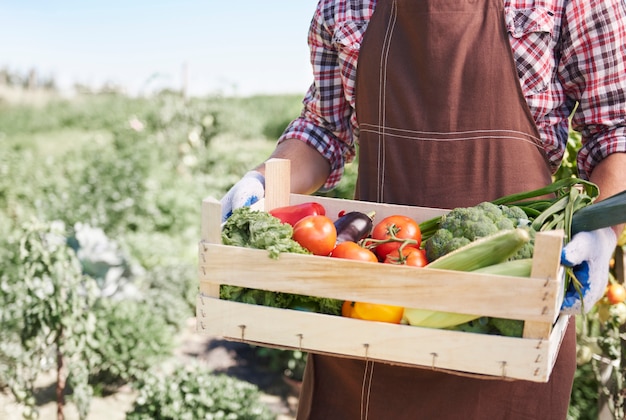 Close up on man selling crops from his garden