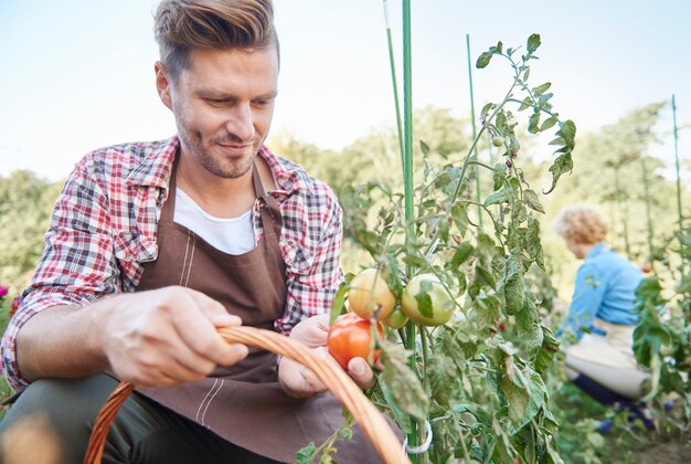 Close up on man taking care of his garden