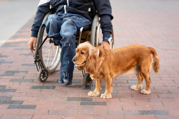 Free Photo close-up man in wheelchair with dog