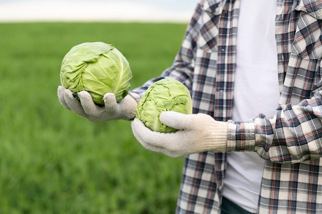 Free photo close-up man with cabbage