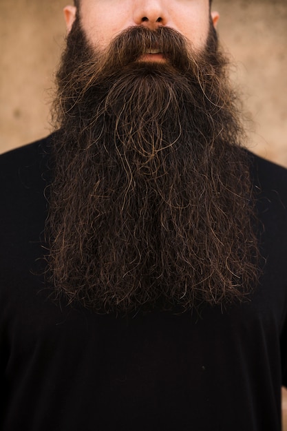 Free Photo close-up of man with long beard