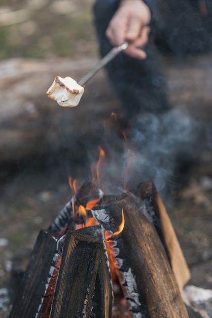 Free Photo close-up marshmallow cooked at bonfire