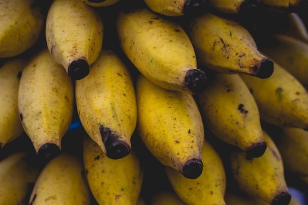 Free photo close up mini bananas