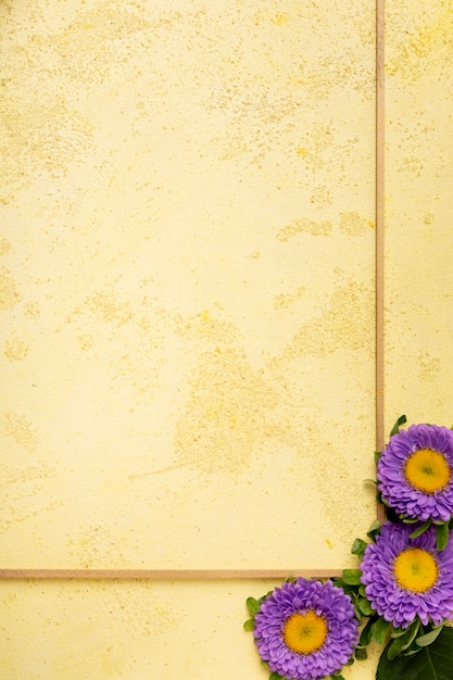 Free Photo close-up minimalist frame with fresh violet daisies