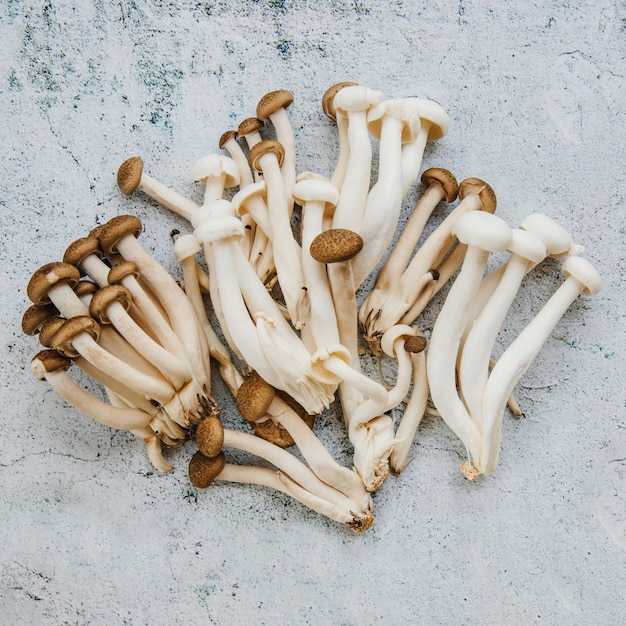 Free Photo close-up of mushrooms on floor