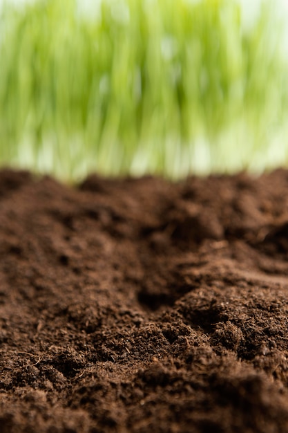 Free photo close up natural soil and grass