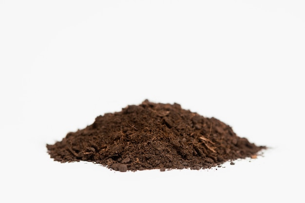 Free Photo close up natural soil