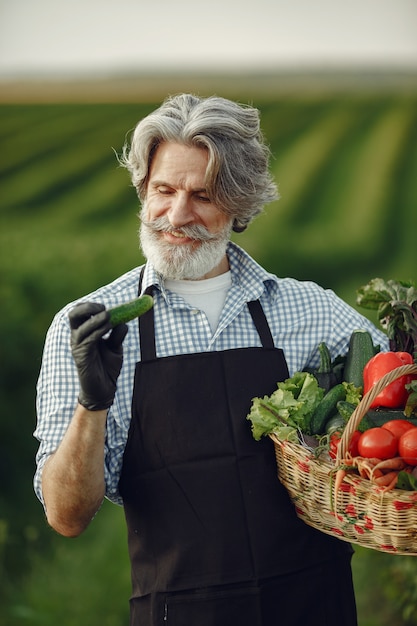 Close up of old farmer holding a basket of vegetables. The man is standing in the garden. Senior in a black apron.