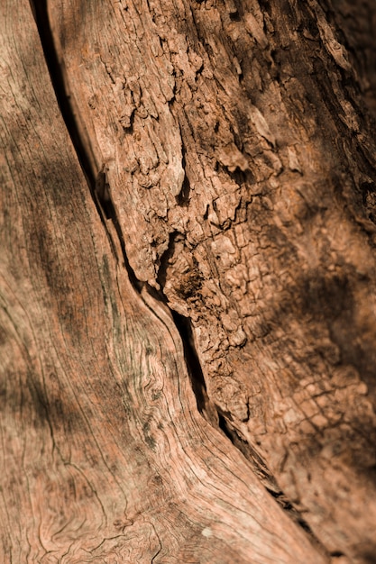 Close-up of old wooden textured