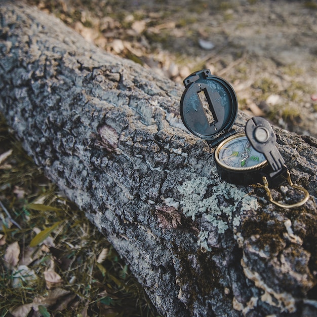 Close-up of open compass on a trunk