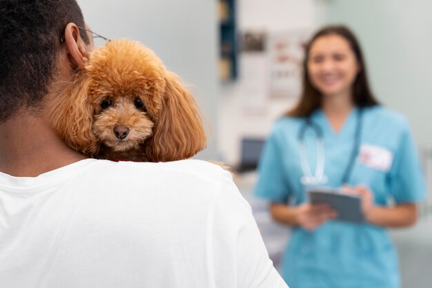 Close up owner holding cute dog