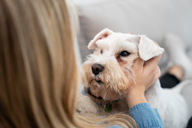 Free Photo close up owner holding dog's head