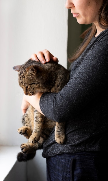 Free photo close up owner petting cat