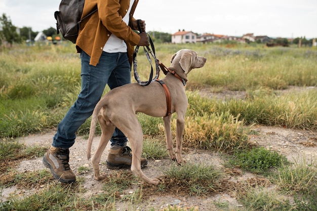 Close up owner walking with dog