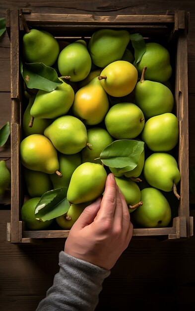 Close up on pear seasonal fruit for winter