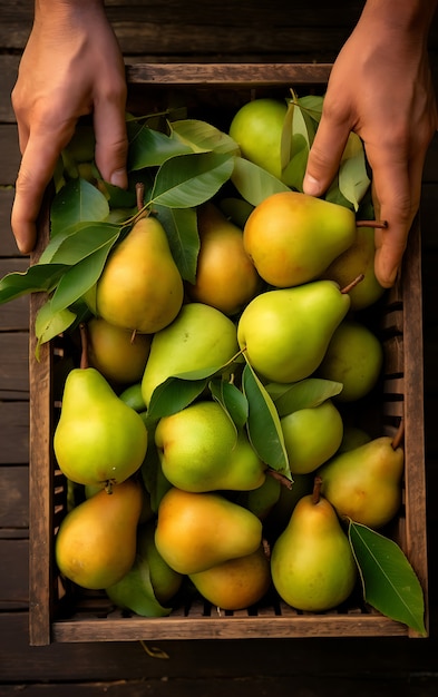 Close up on pear seasonal fruits for winter