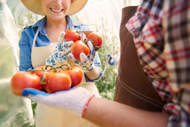 Free Photo close up on people taking care of their crops