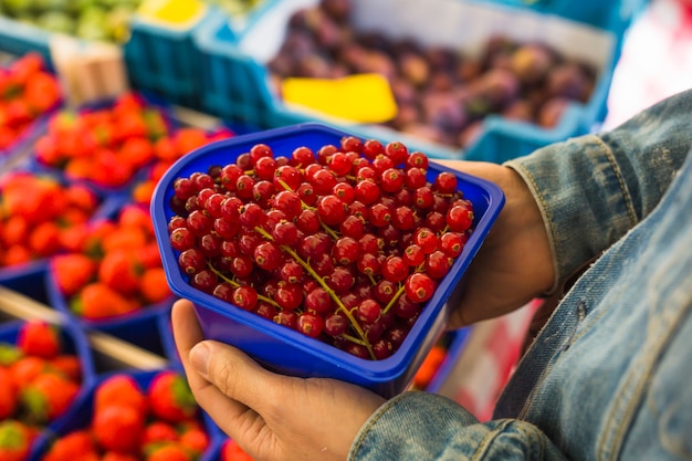 Close-up of a person holding red currants crate in hand