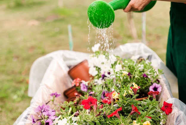 Free photo close-up person watering flowers