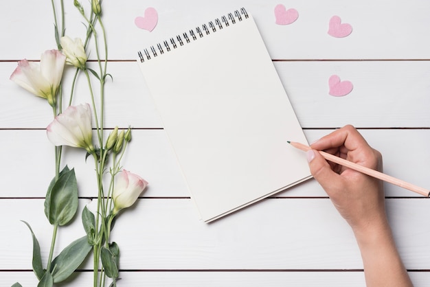 Free photo close-up of a person writing on spiral notepad with pencil