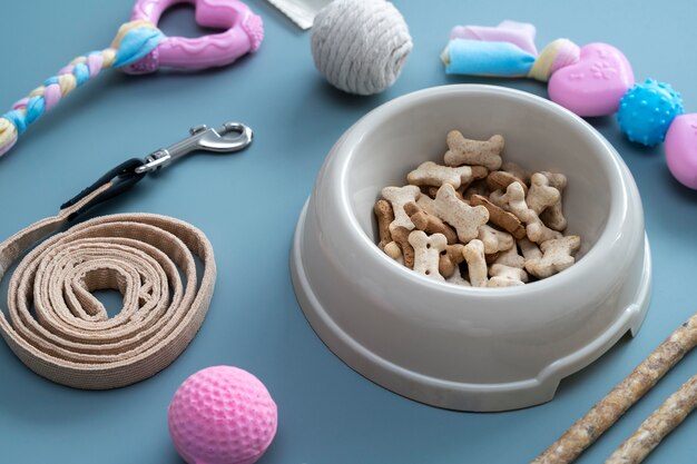 Close up on pet accessories