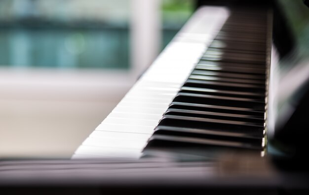 Close-up of piano keys with blurred background