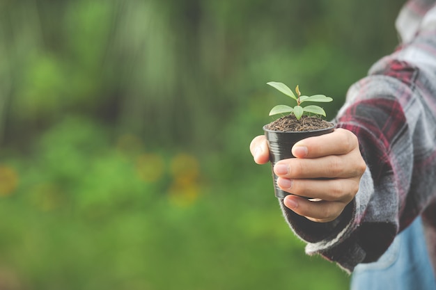 Close up picture of hand holding plant