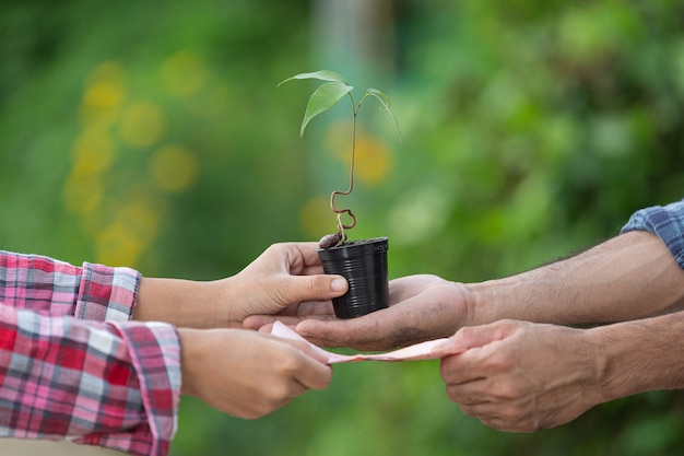 Close up picture of money exchange with plants between customer and seller