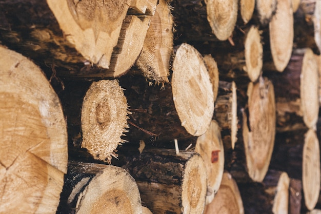 Free photo close-up of a pile of firewood