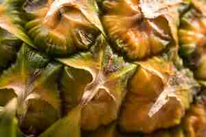 Free photo close-up of pineapple husk