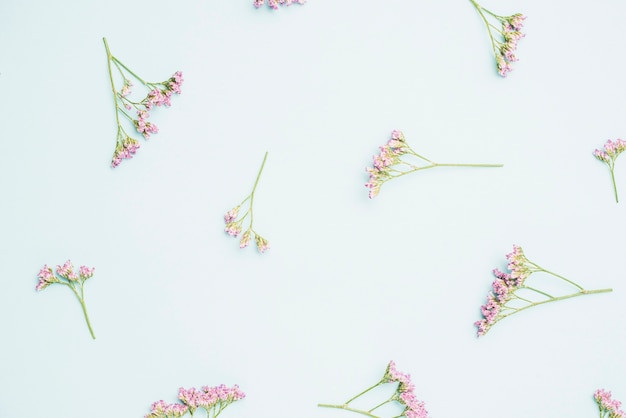 Close-up pink flowers