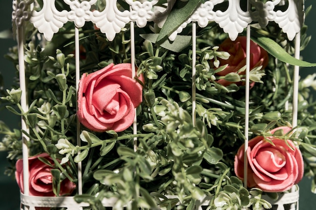 Free Photo close up pink roses in cage