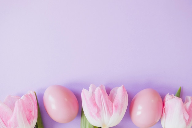 Close-up pink tulips and eggs