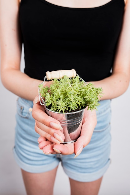 Free photo close-up of plant in bucket