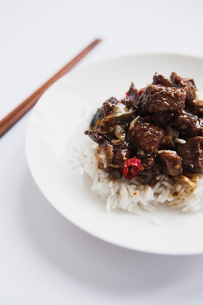 Close-up plate with rice and meat