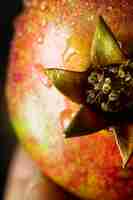 Free photo close-up pomergranate fruit with water droplets