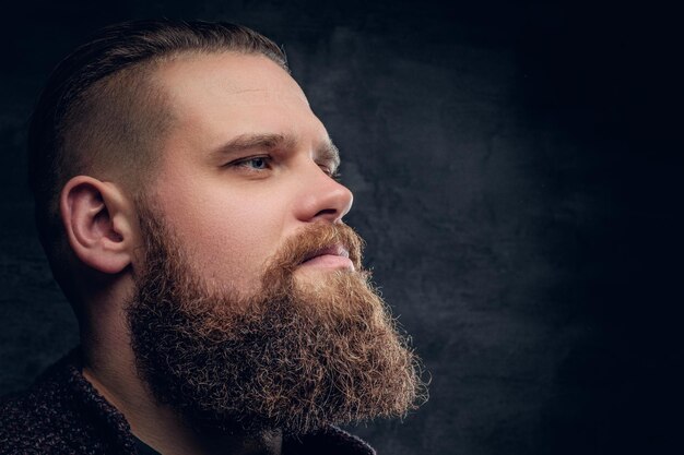 Close up portrait of brutal bearded male on grey vignette background.