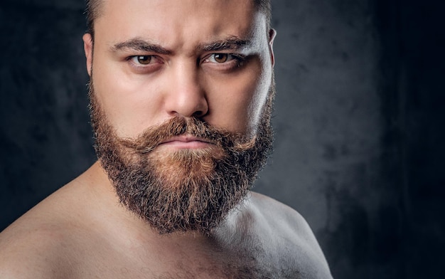 Free Photo close up portrait of shirtless beard male on grey background.