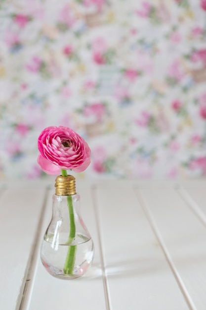 Close-up of pretty pink flower