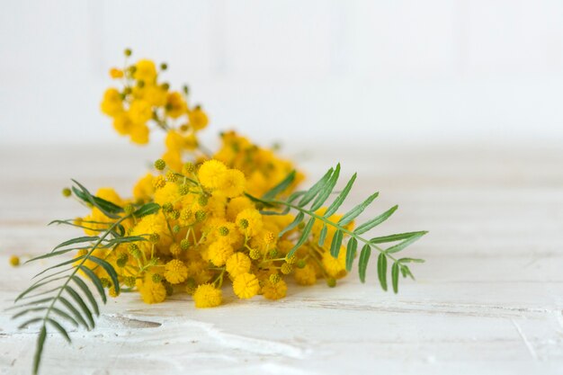 Close-up of pretty yellow flowers on white surface