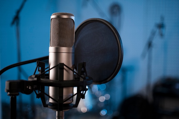 Close up professional microphone and pop filter