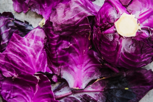 Close-up of purple cabbage