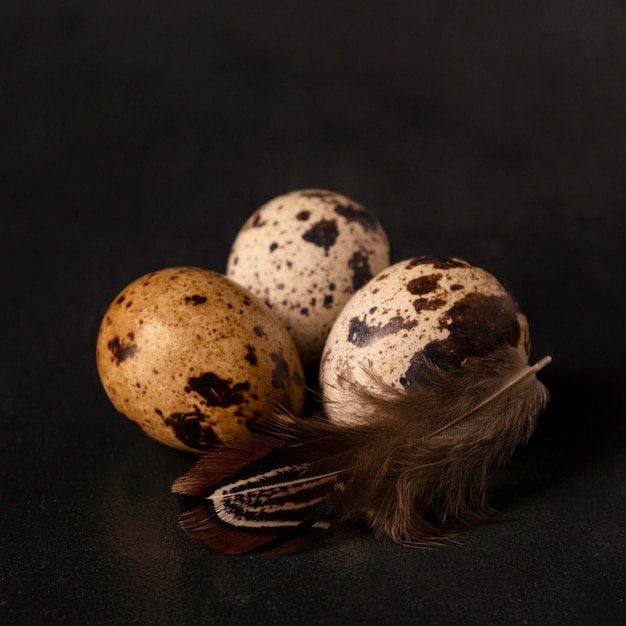 Close-up quail eggs with feather