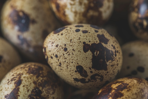 Close-up quail eggs