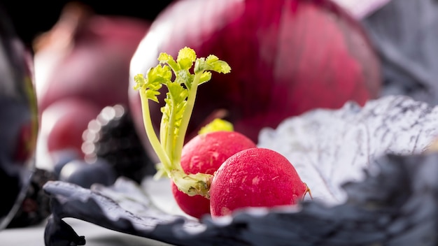 Free photo close-up of radish on cabbage leaf with onions