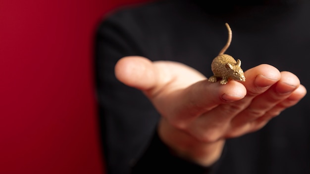 Free photo close-up of rat figurine for chinese new year