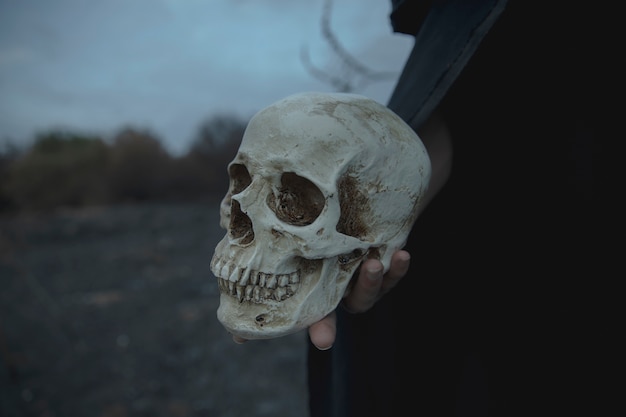 Free Photo close-up realistic cement skull for halloween