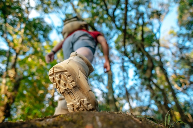 Free Photo close up rear view trekking shoes of hiker walking on the rock in the forest trail with sunlight copy space