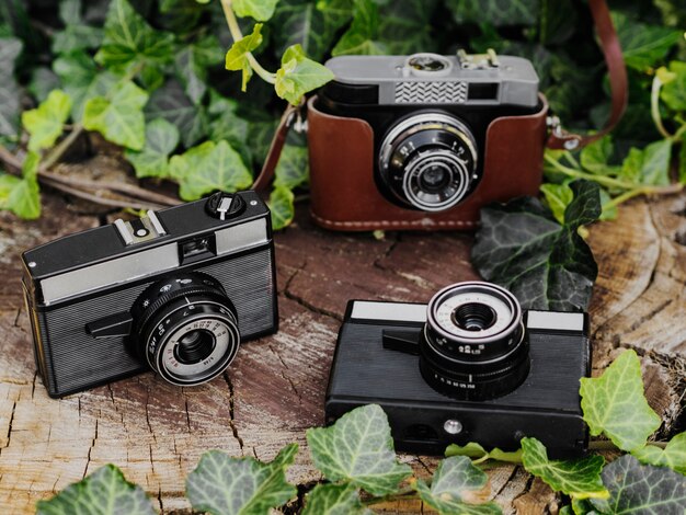 Close-up of retro photo cameras on a log