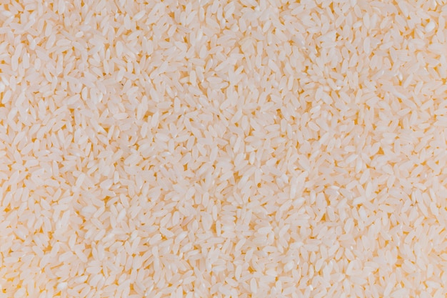 Close up rice texture